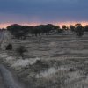 Sonnenuntergang, Serengeti