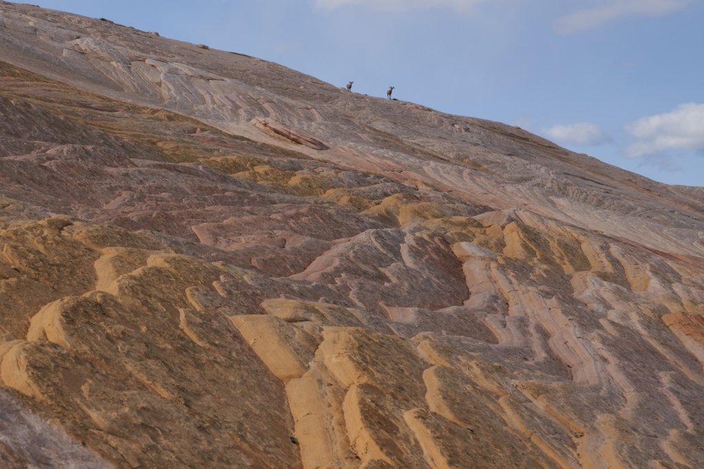 Yellow Rock, Grand Staircase-Escalante NM