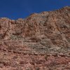 Maultiere South Kaibab Trail, Grand Canyon NP