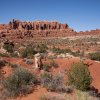 Tower Arch Trail, Arches NP