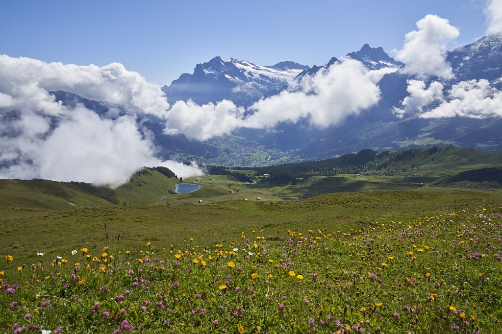 Blick nach Grindelwald vom Männlichen
