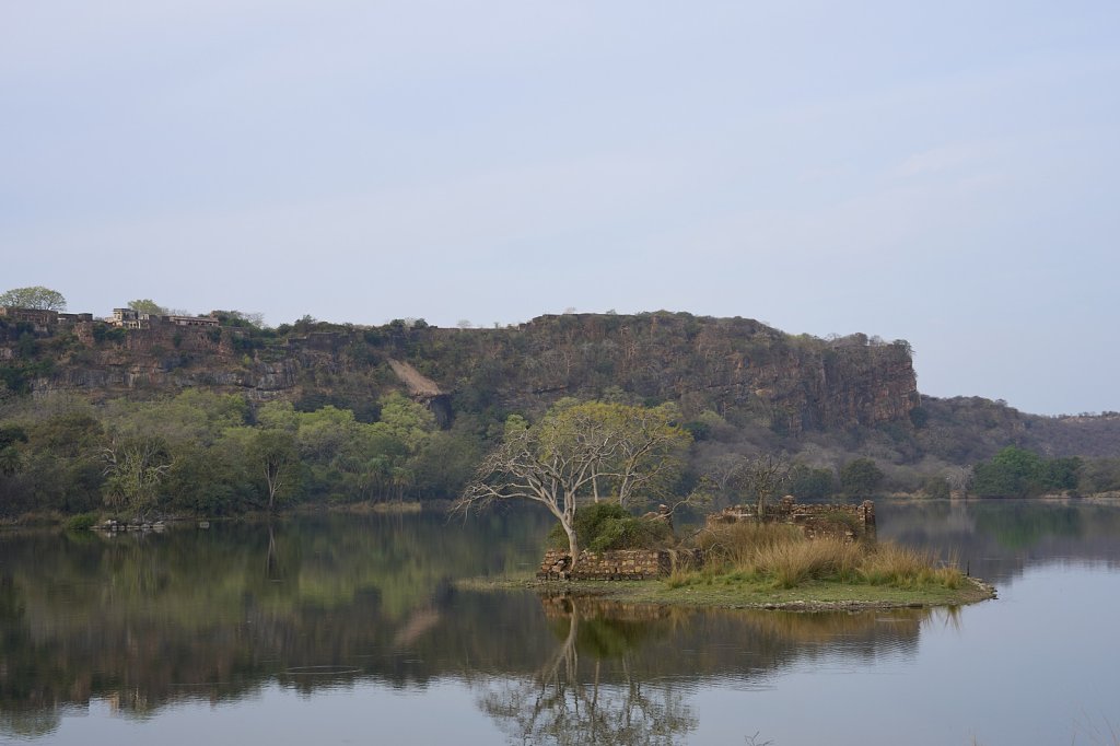 Fort, Ranthambore NP, Rajasthan