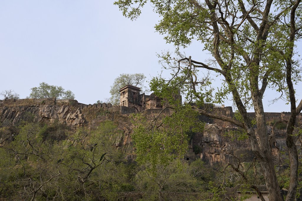 Fort, Ranthambore NP, Rajasthan