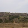 Fort, Ranthambore NP, Rajasthan