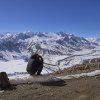 Spiti Valley, Himachal Pradesh