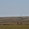 Impressionen, Masai Mara