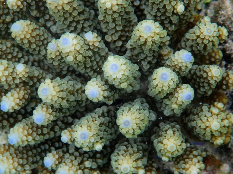 p10007681