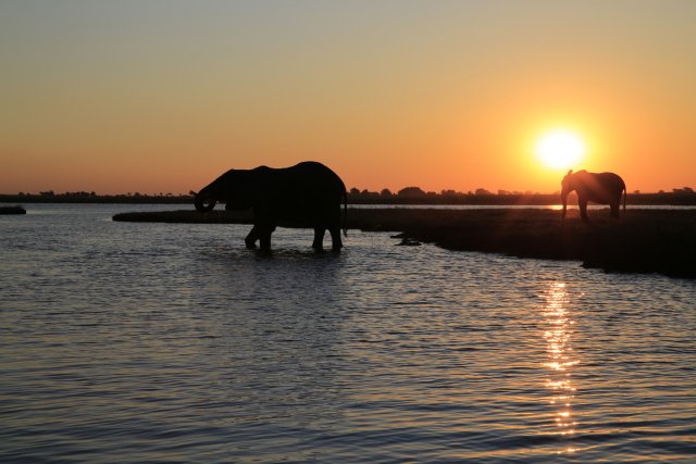 Sonnenuntergang, Chobe NP