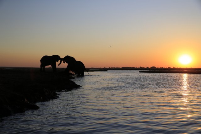Sonnenuntergang, Chobe NP