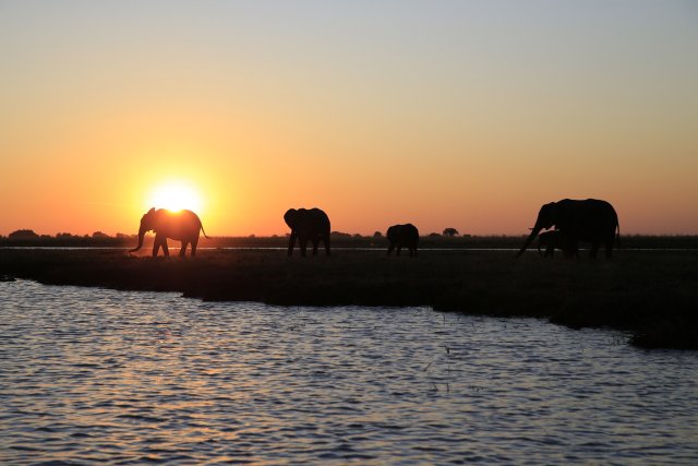 Sonnenuntergang, Chobe NP