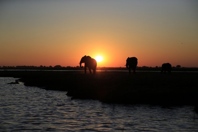 Sonnenuntergang, Chobe NP