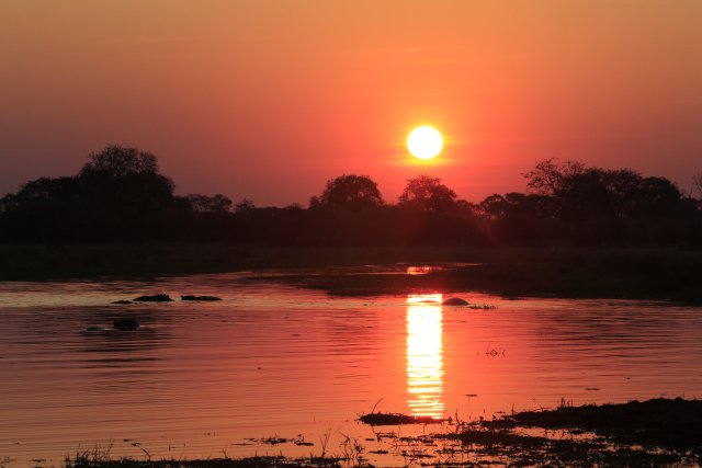 Sonnenuntergang, Khwai-Gebiet