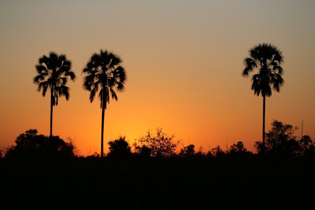 Sonnenuntergang, Okavango-Delta