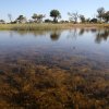 Mokoro-Bootstour, Okavango-Delta