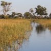 Wasserweg, Okavango-Delta