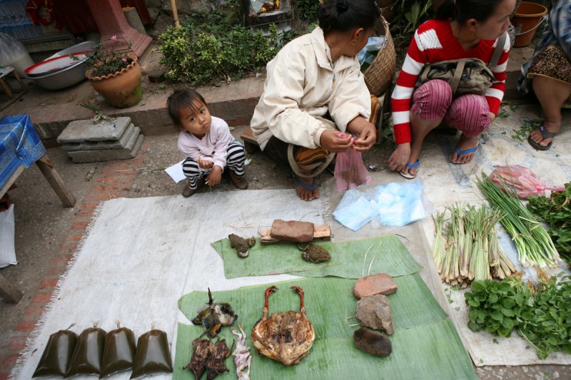 Morgenmarkt, Luang Prabang