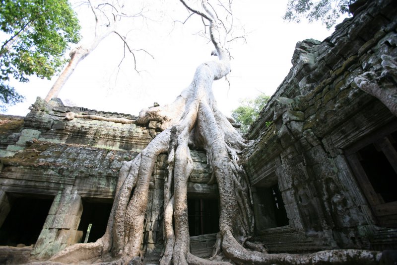 Ta Prohm